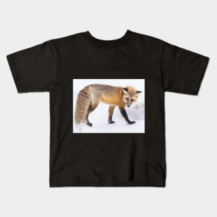 red-fox -Wildlife Lovers Kids T-Shirt